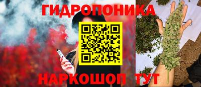 гидропоника Кумертау