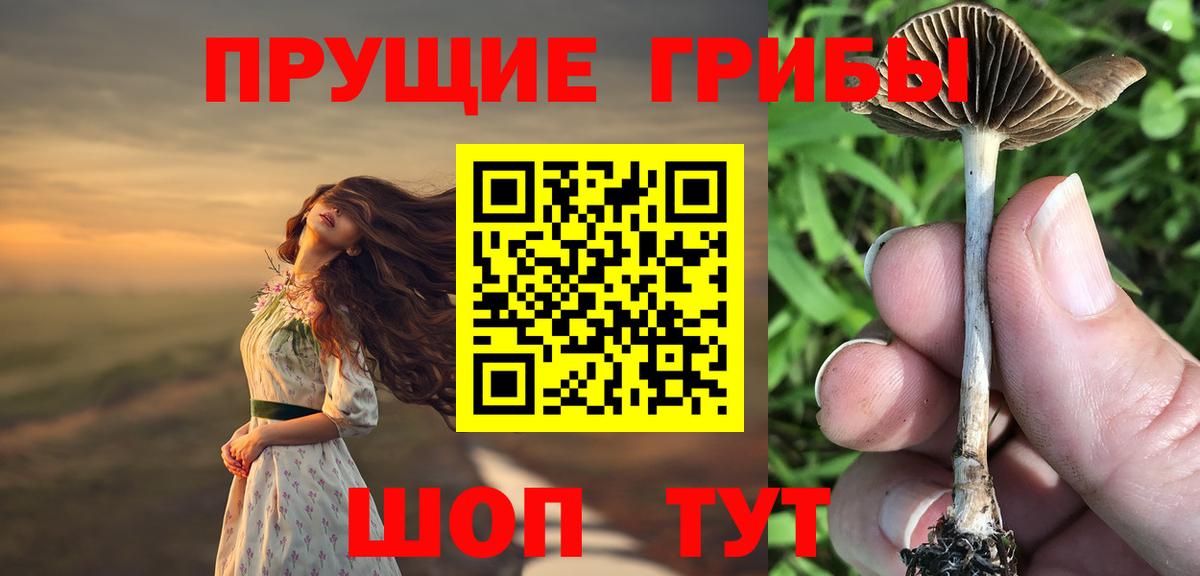 где купить наркоту  Галлюциногенные грибы Magic Shrooms  Гусев  Вход с VPN  Псилоцибиновые грибы прущие грибы 