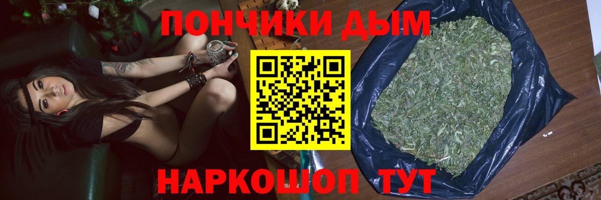 Конопля гибрид Гусев